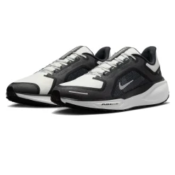Nike Air Zoom Pegasus 41 GORE-TEX Laufschuhe - HO24