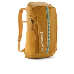 Patagonia Schwarz Hole 25L Rucksack - SS25